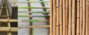 Bamboo Reinforcement