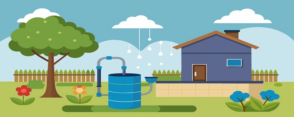 Rainwater Harvesting Techniques for Water Conservation